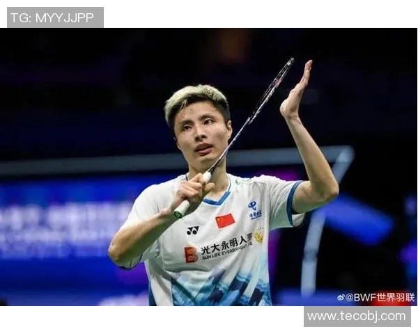 羽毛球意识排行榜揭晓南京羽毛球队荣获第九名佳绩